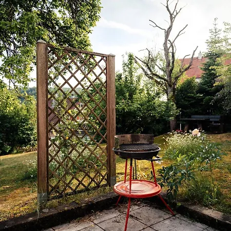 Glass Front With Amazing View B17